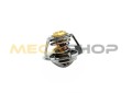 Termostat QSB4,52.jpg